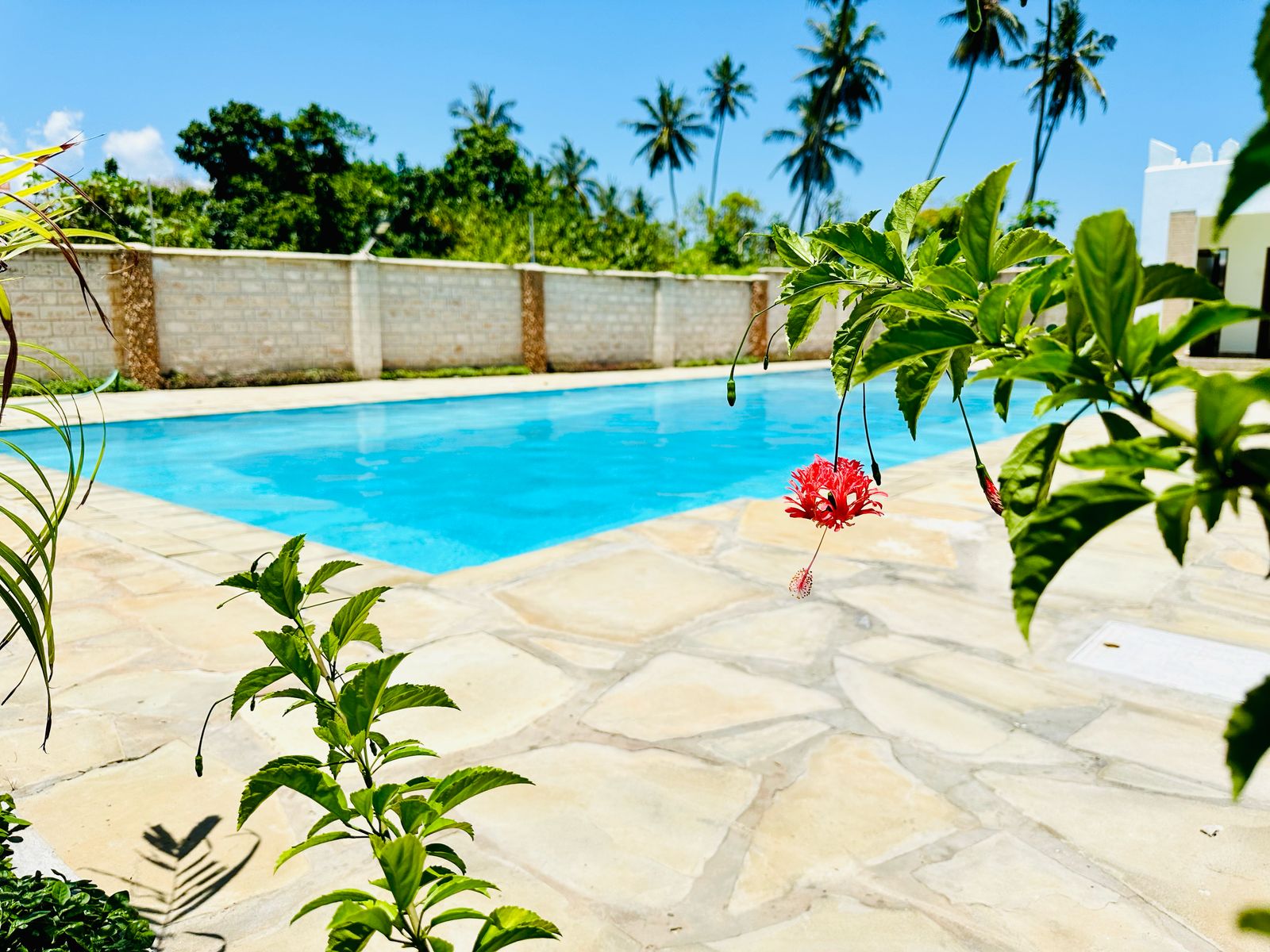 Oceanview Villa Image 3