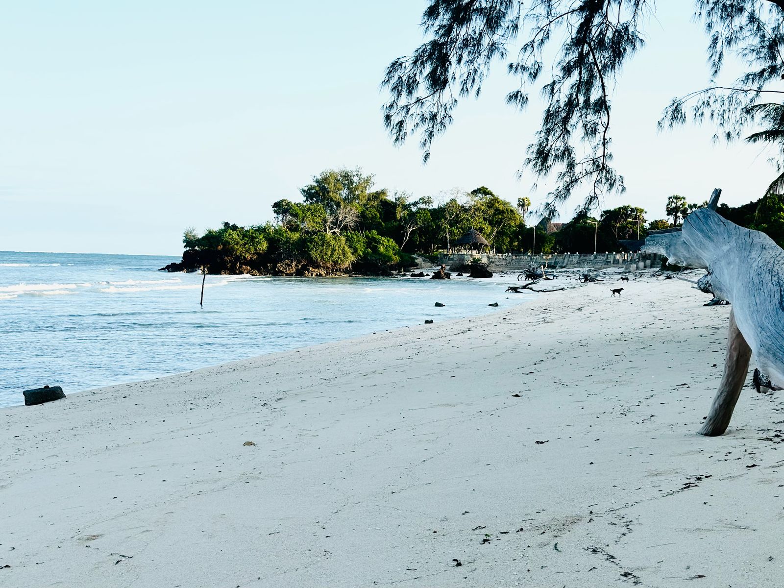 Oceanview Villa Image 3